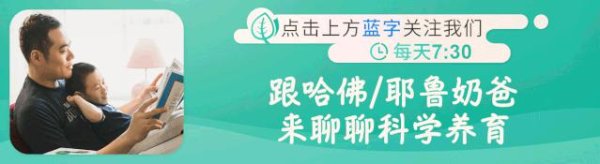 大唐资本 《胡桃夹子》第十三集之《肉嘟嘟国王发怒了》