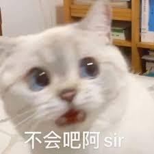 优先配 Hinton万万没想到，前女友用ChatGPT跟他闹分手