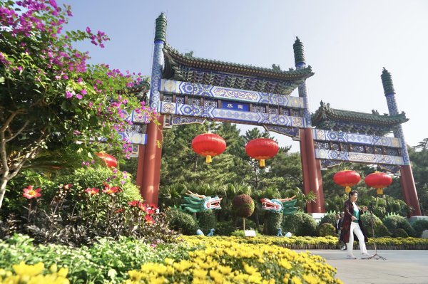 股E融 日赏菊海、夜品光影！陶然亭公园第三届菊花文化节启幕