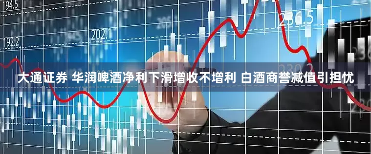 大通证券 华润啤酒净利下滑增收不增利 白酒商誉减值引担忧
